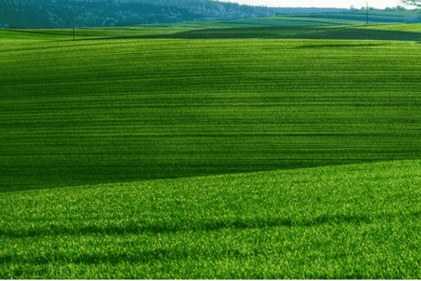 网站优化中搜索引擎可变算法的处理