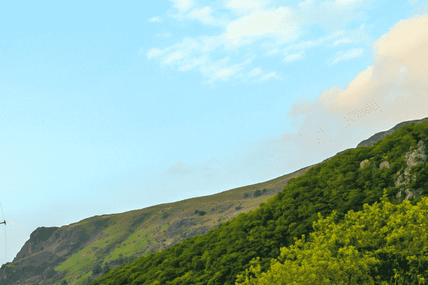 网站内容优化的关键策略是什么？-超级排名系统