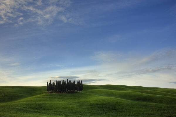 如何利用索引标签优化实现扁平网站结构？