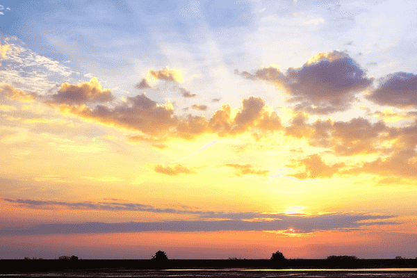 影响网站排名的因素有哪些