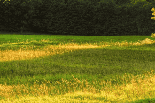 如何使用智盟CMS作为多语种网站阿里巴巴**站能卖二手设备吗