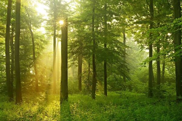 自助站房是什么？自助车站建设有哪些优势？