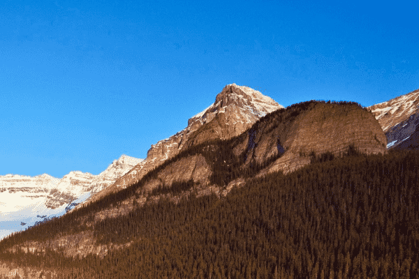企业网站省钱还是选择云翼三站四核站系统！！
