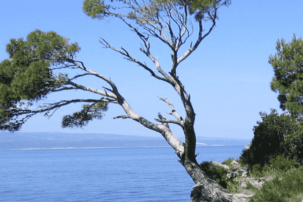 企业站房系统如何选择？