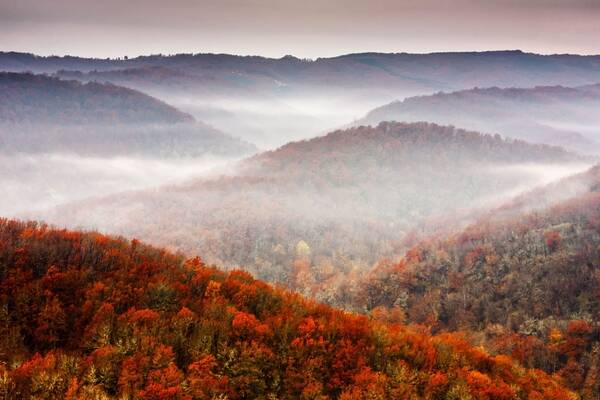 对于外贸商家来说，这些建站系统的优缺点是什么