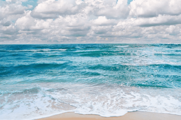 什么样的建站系统适合