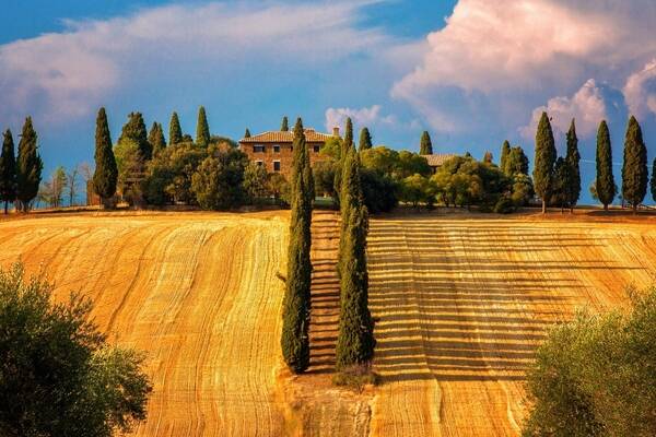 建一个网站意味着什么？如何选择合适的建站系统