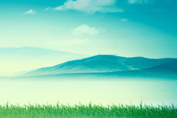 建一个网站要多少钱？搜骐OEM将网站制作成本给你看